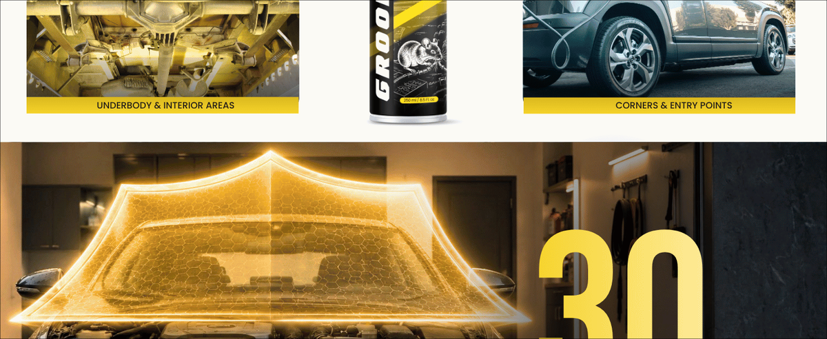 Block 4 — Benefits