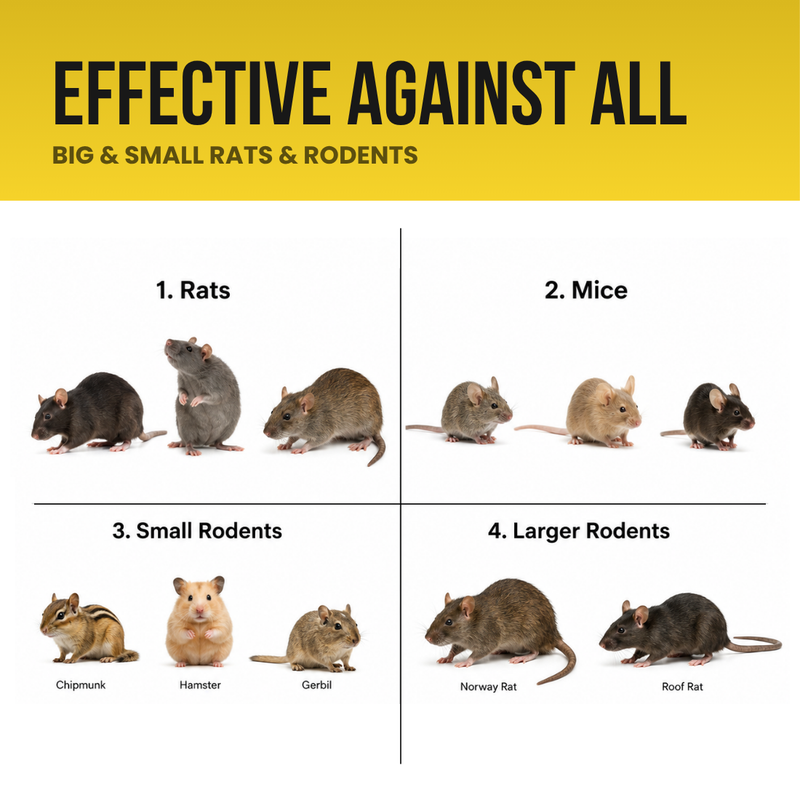 Grommm Rat Repellent Spray 150mL Aerosol for Cars | Car Engine & Wiring Protection from Rats